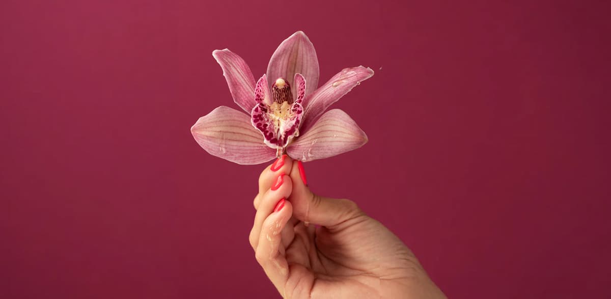 Tratamientos estéticos ginecológicos