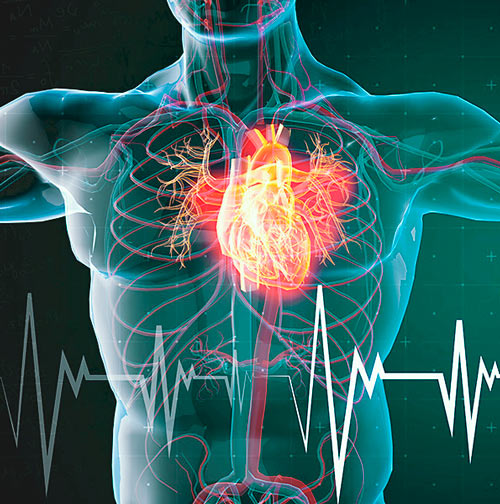 TNA Dolor crónico y salud neurofuncional.